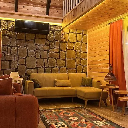 Vira Tas Konak Dağ evi