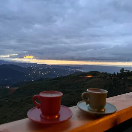 Vira Tas Konak Trabzon