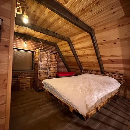 Vira Tas * 트라존