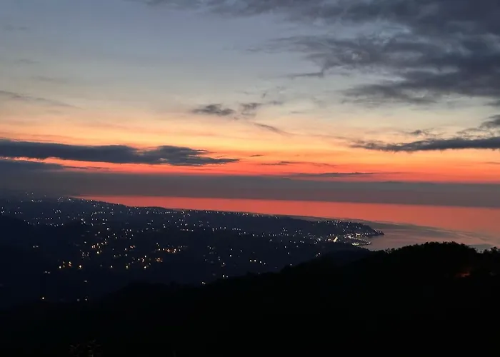 Chalet Vira Tas Trabzon